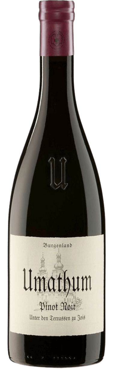 Pinot Noir "Unter den Terrassen" 2021 Umathum