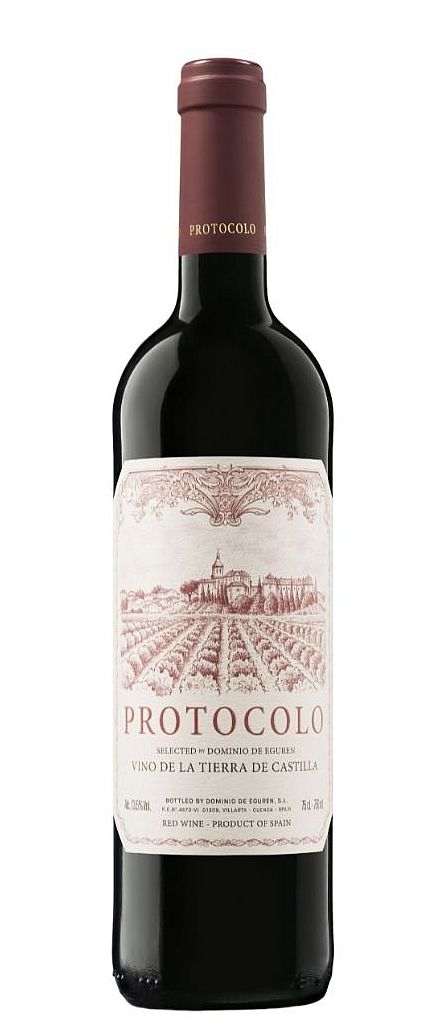 Protocolo Tinto 2019 Dominio de Eguren Sierra Cantabria