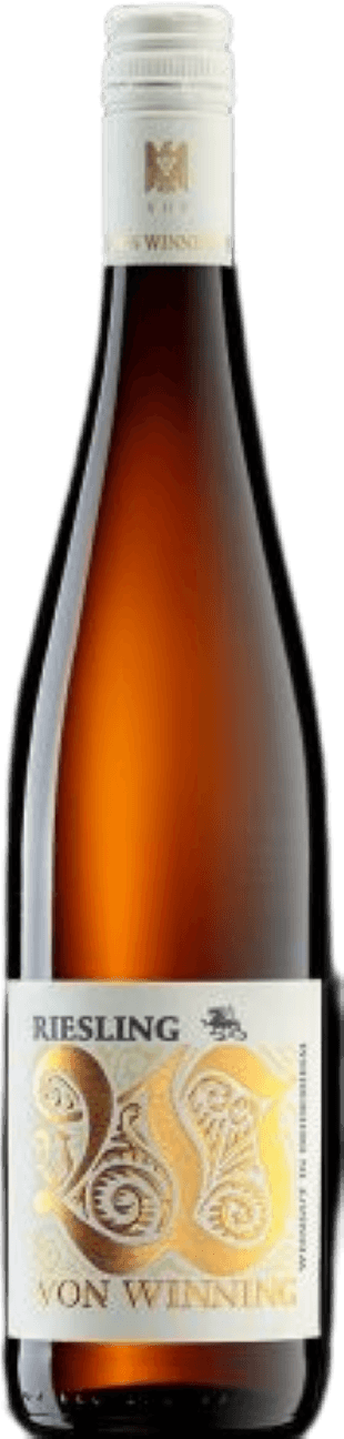 Drache Riesling trocken 2025 Qualitätswein von Winning