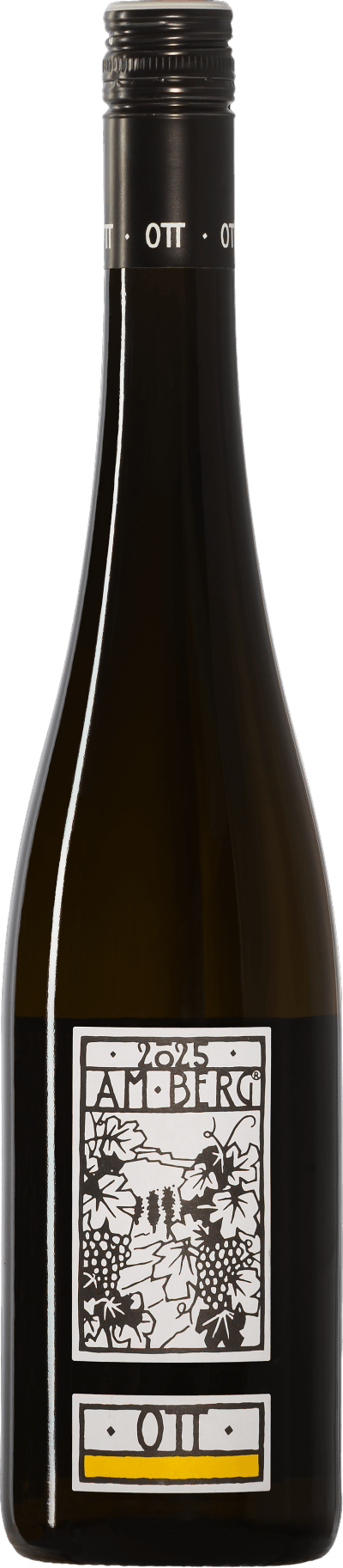 Grüner Veltliner "Am Berg" 2025 Bernhard Ott -BIO-