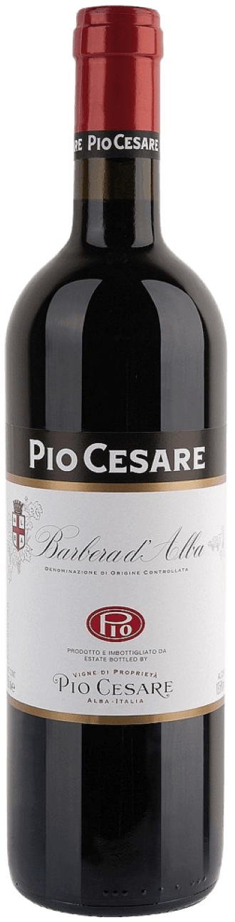 Barbera d'Alba DOC 2024 Pio Cesare