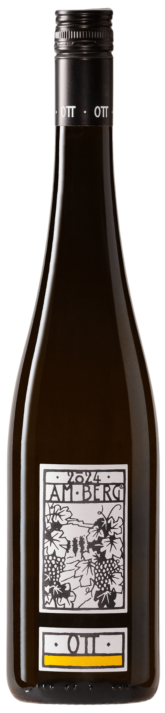 Grüner Veltliner "Am Berg" 2024 Bernhard Ott -BIO-