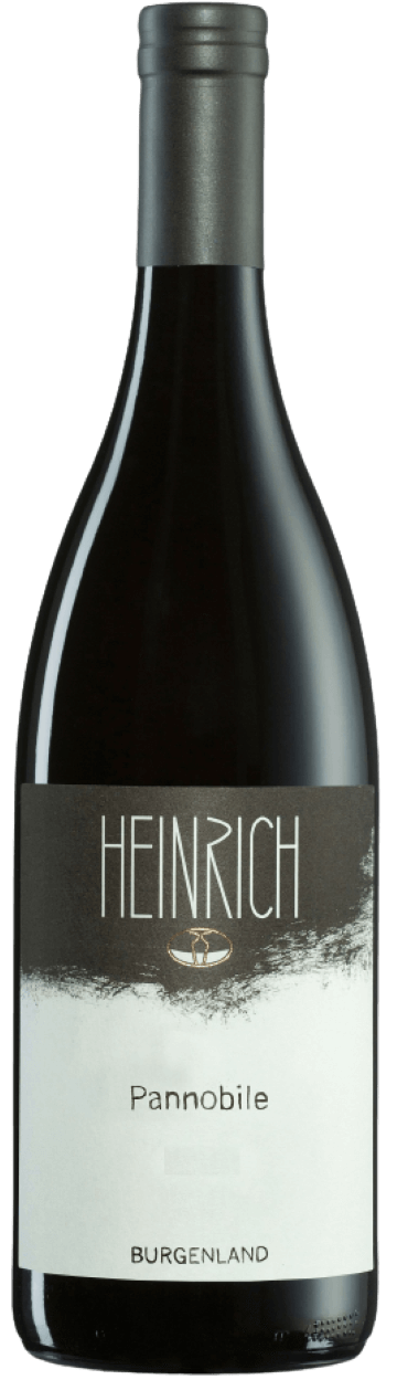 Pannobile 2021 Gernot Heinrich -BIO-